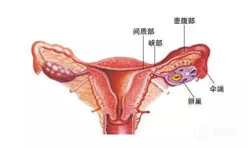 有多囊卵巢综合征可以怀上宝宝吗