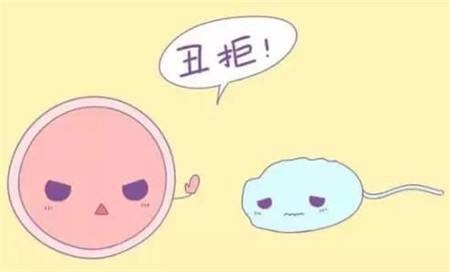 子宫内膜太薄如何代生孩子有没有办法增厚
