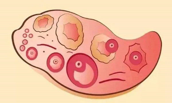 沈阳代怀生孩子去哪家医院卵子冷冻技术成熟吗（试管大概费用多少钱？）
